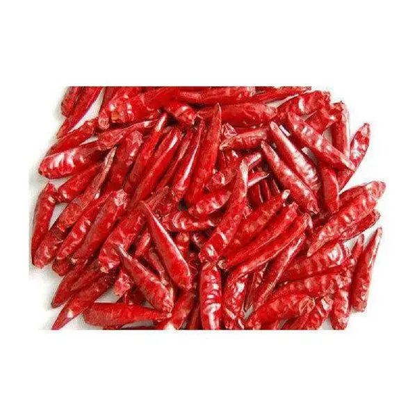 Highest Quality Teja Stemless Dried Red Chilli Use for Cooking Spices Available at Affordable Price from Indian Exporter