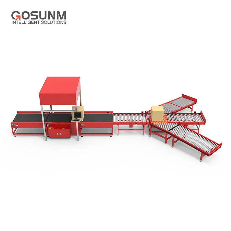 Gosunm Stainless Steel Belt Conveyor Inclined Dimensional 3D Scanner Sorter Machine DWS system for CEP