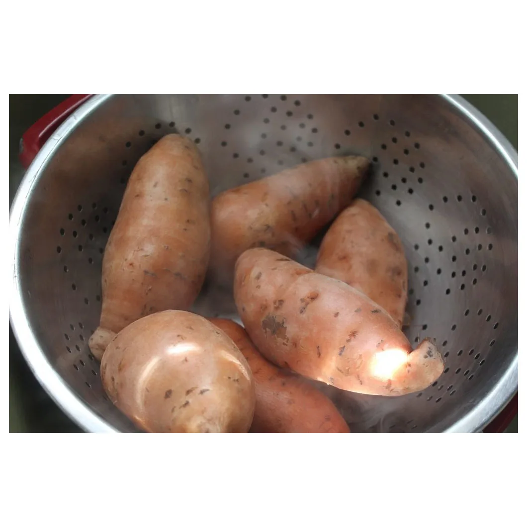 Potato fresh sweet potatoes  high quality  cheap price  professional export wholesalers fresh potato