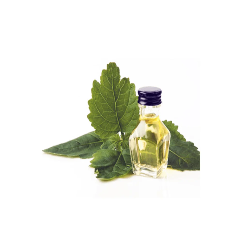 Patchouli Oil 100% Pure  For Skin Indian Natural Wholesale patchouli oil Bulk patchouli essential oil