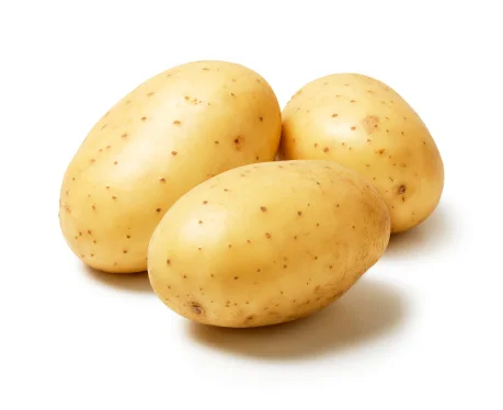 New Yellow KOSHER Style Mature Organic Color Weight Origin Type Shape Potato Size Product ISO Fresh Place Model HACCP Round SHN