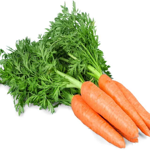 Fresh organic vegetables wholesale carrot Good price carrots available for export