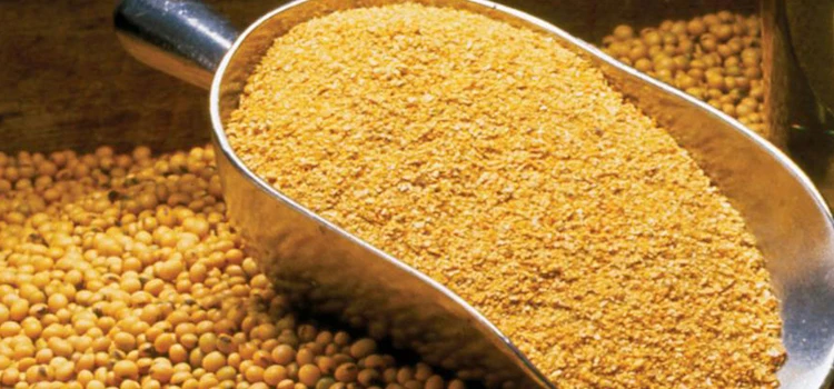 Wholesale Suppliers and Manufacturers of Top Quality Protein Content Soya Bean Meal Used as Animal Feed from India at Best Price