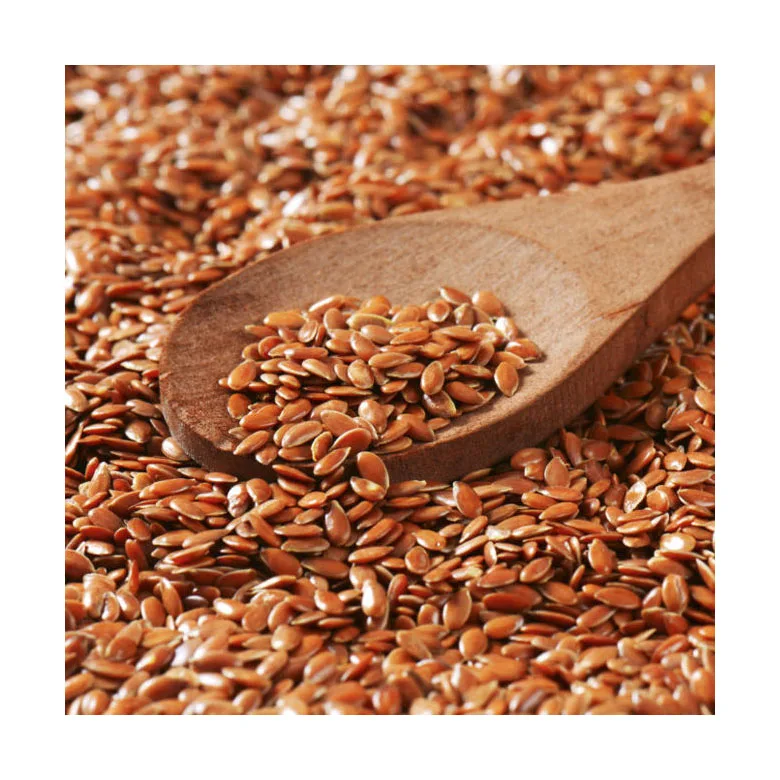 Hot sale organic flax seeds Wholesale natural high quality product factory best selling price
