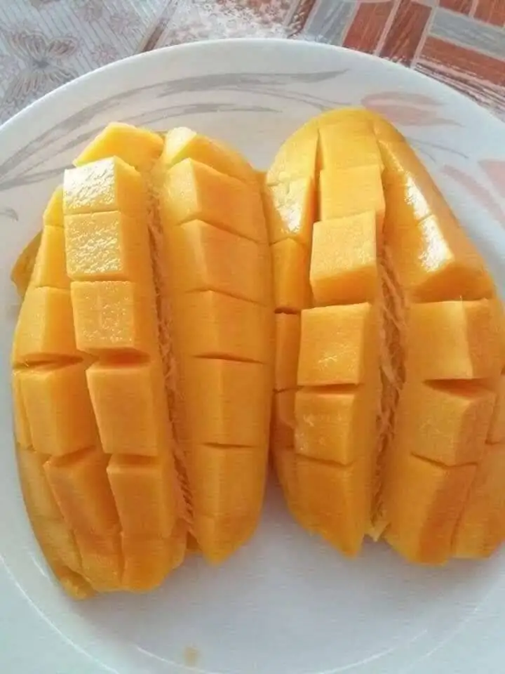 Fresh Mango Sweet and Tasty Golden Mangos Delicious Premium Quality and 100%
