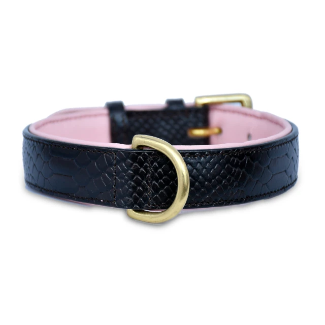 Popular Custom Snake print Decorative Leather Dog Collar Best Premium Genuine Leather High Quality super soft padded for dogs