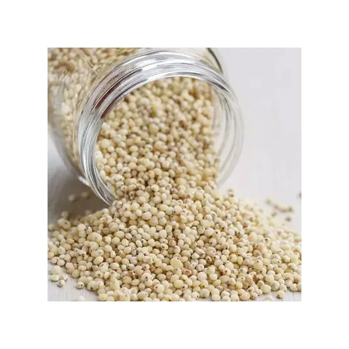 High Quality Red and White Sorghum for Sale