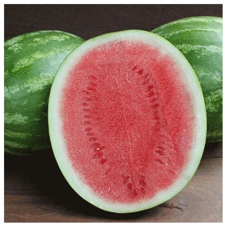 Fresh sweet watermelon for sale wholesale  fruit sweet watermelon seeds Available Juicy WaterMelon Natural Sweetness