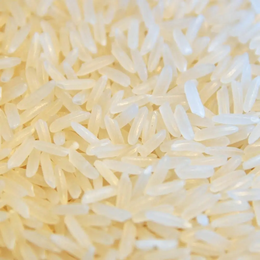 Premium quality white long grain rice raw natural at wholesale prices available in bulk perfect for food industry use