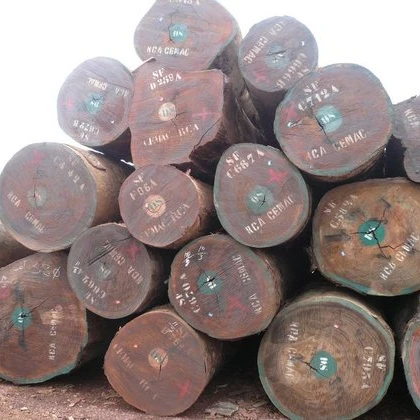 Белые бревна дуба для древесины