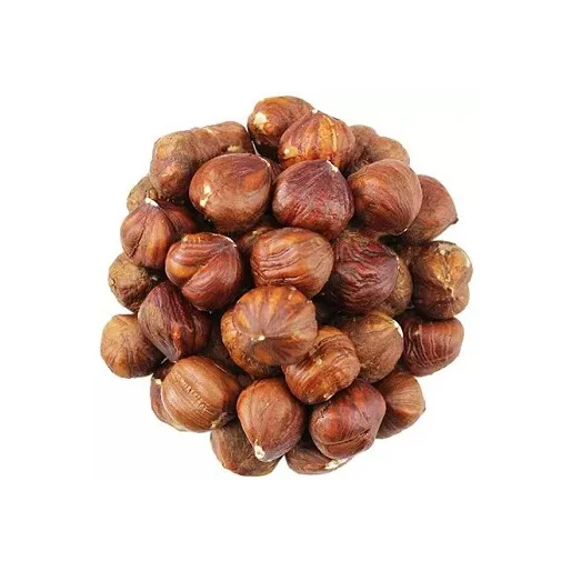 Premium Quality Blanched Sliced Hazelnut
