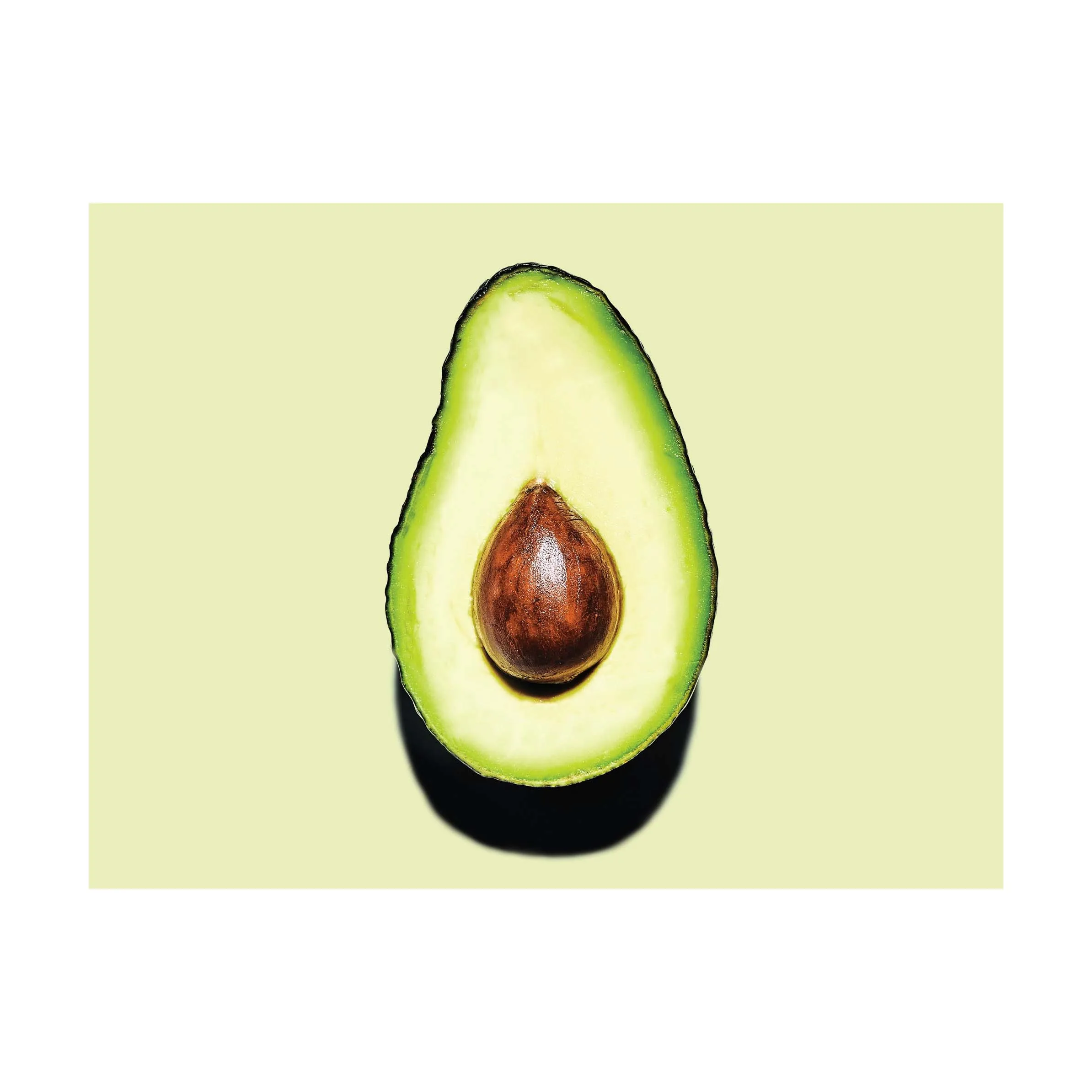 Fresh Avocado For Worldwide Export - Fresh Avocado at Best Price for Wholesaler