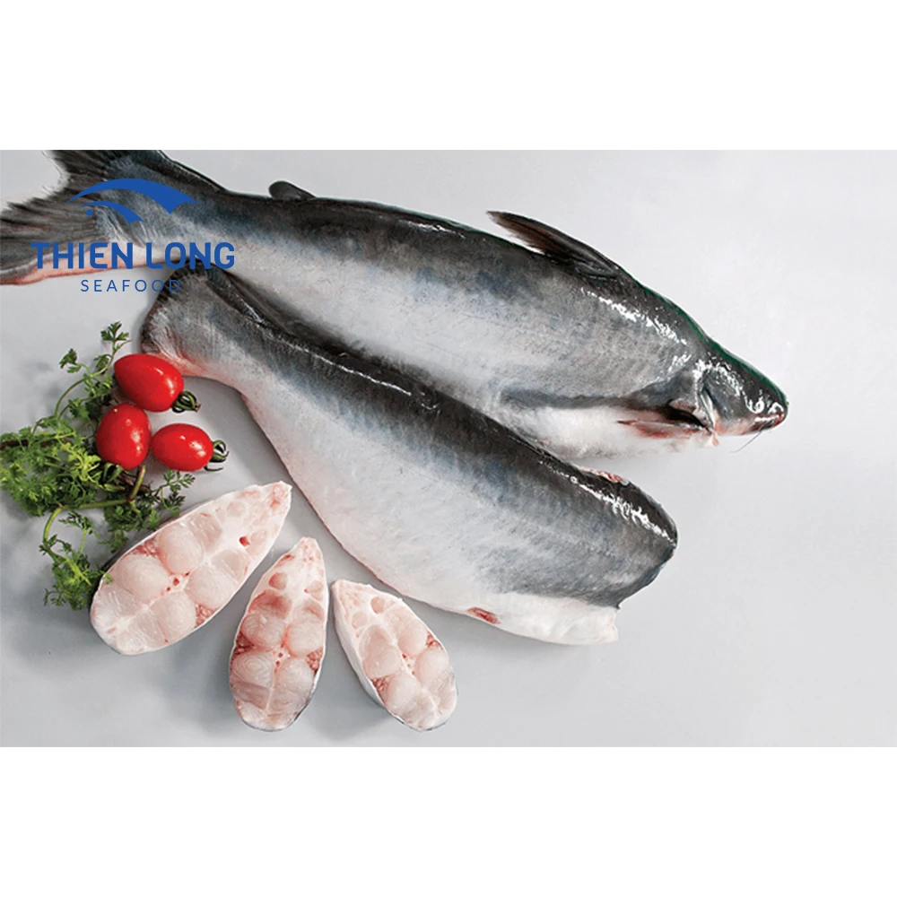 High Quality IQF Whole Round Pangasius Fish With Weight 10kg And Shelf Life 24 Months From Vietnam