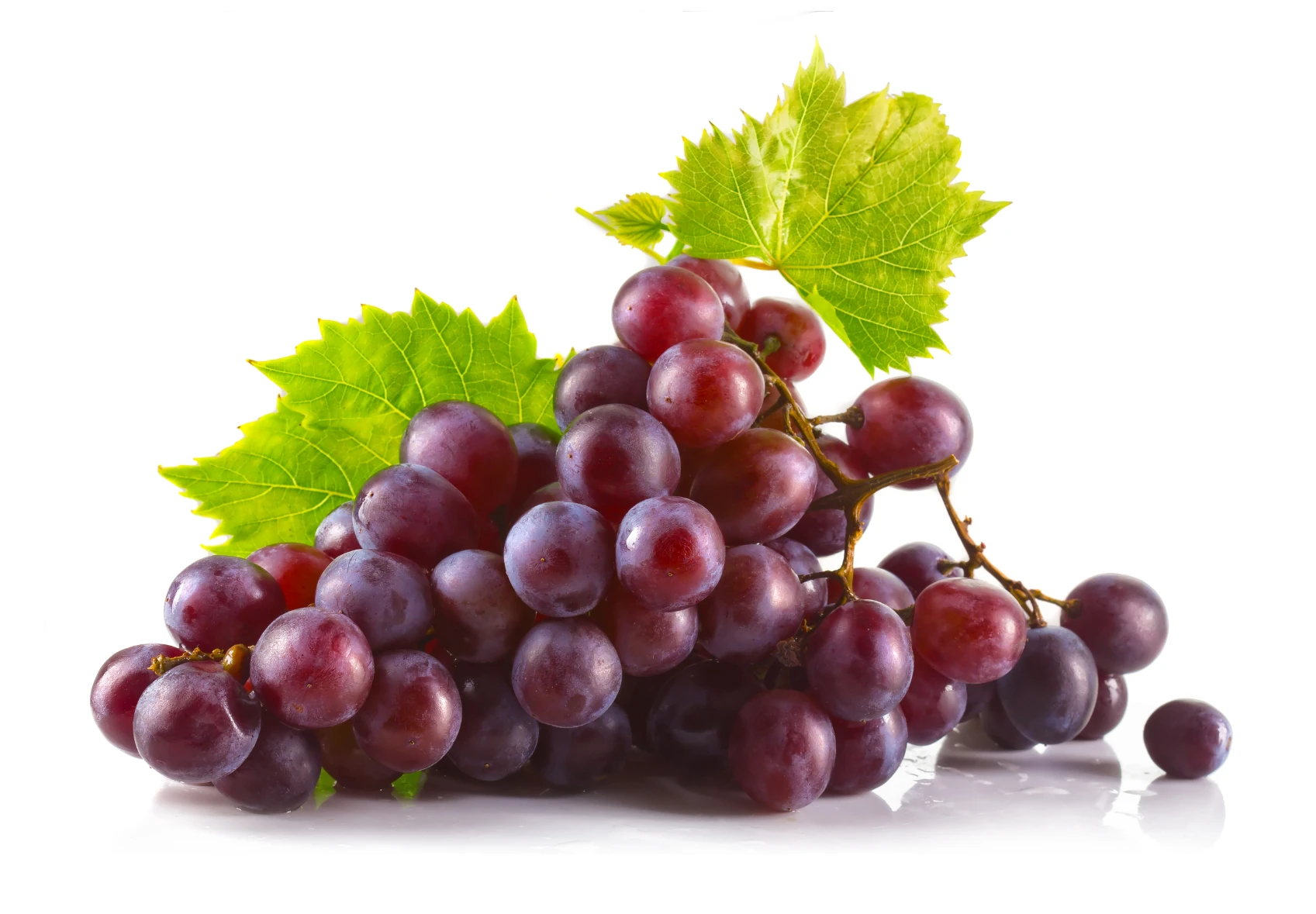 Manufacturer Of Fresh And Natural Green / Black Grapes Quality Assured Fresh Grapes Available At Wholesale Price
