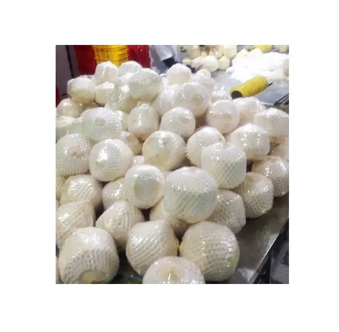 Wholesale Price Available Fresh Coconut Water Diamond Cut Coconut Natural Color Made In Vietnam High Quality