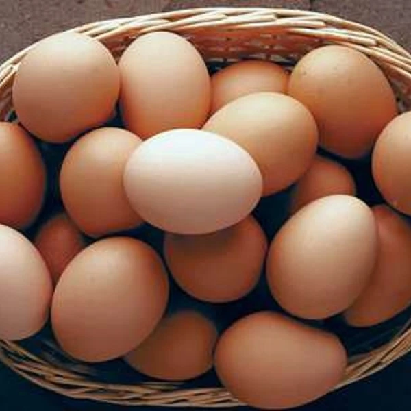eggs4.jpg