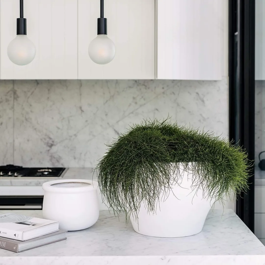 Vietnamese GARDEN POTS & PLANTERS Supplier Round Wide Modern Garden Planter Pot Smart Choice Flower Pots & Planters for Home OEM