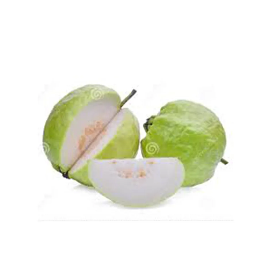 Things Go Better With Guava Fruit A place for Guava fruits in Arputham Export for pakistan