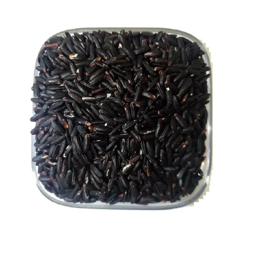 ISO CERTIFICATION RICH NUTRITION BLACK THAN GLUTINOUS RICE 5 % MAX TOP F&B BAG LONG-GRAIN RICE 25 / 50 KG PP VIETNAM RICE