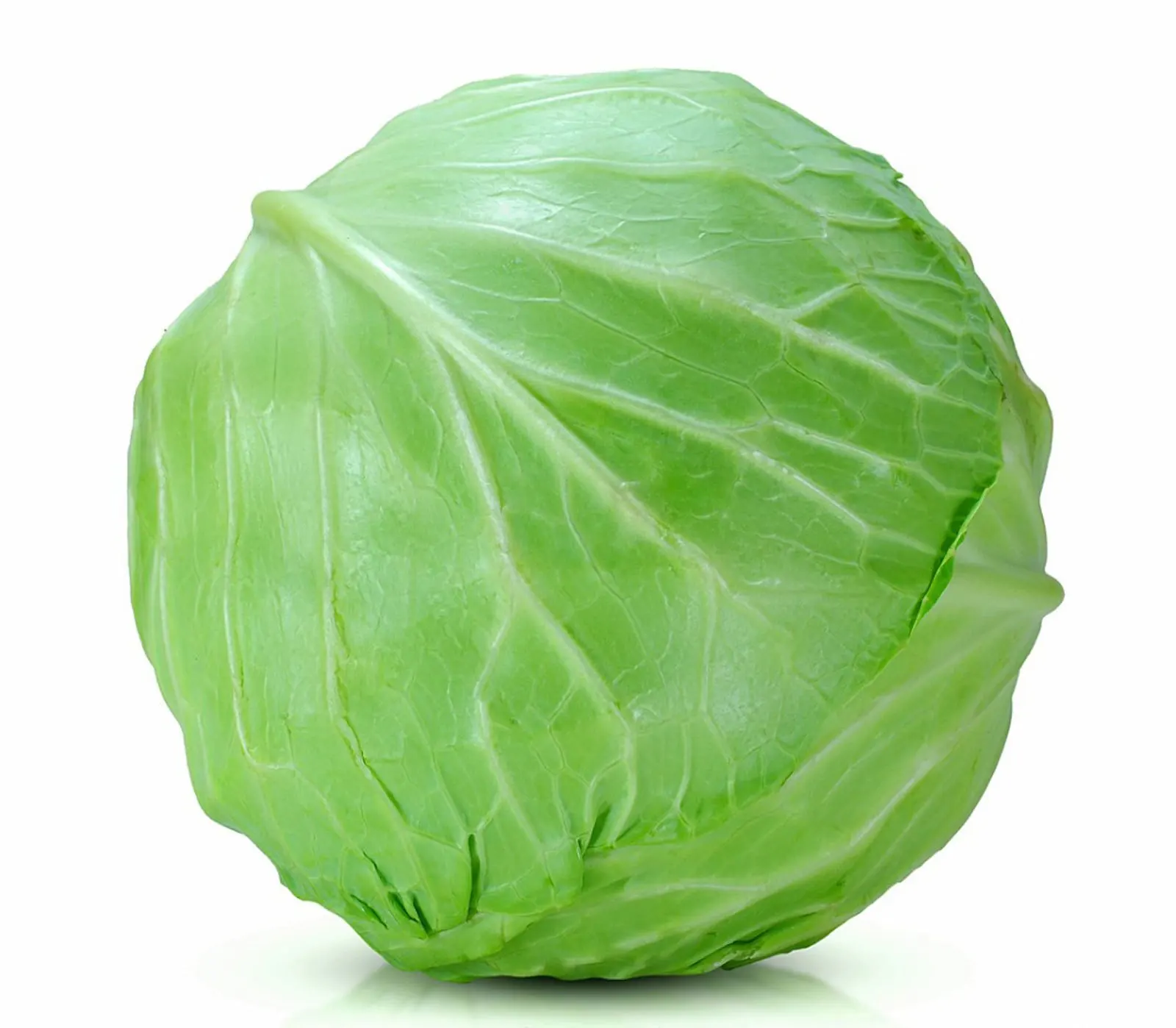 100% from Natural Cabbages with Premium Quality and Lowest Price Vietnam origin