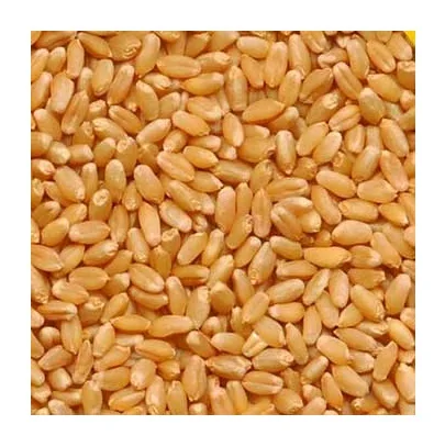 custom wheat flour packing bags 50kg 25kg 10kg 5KG