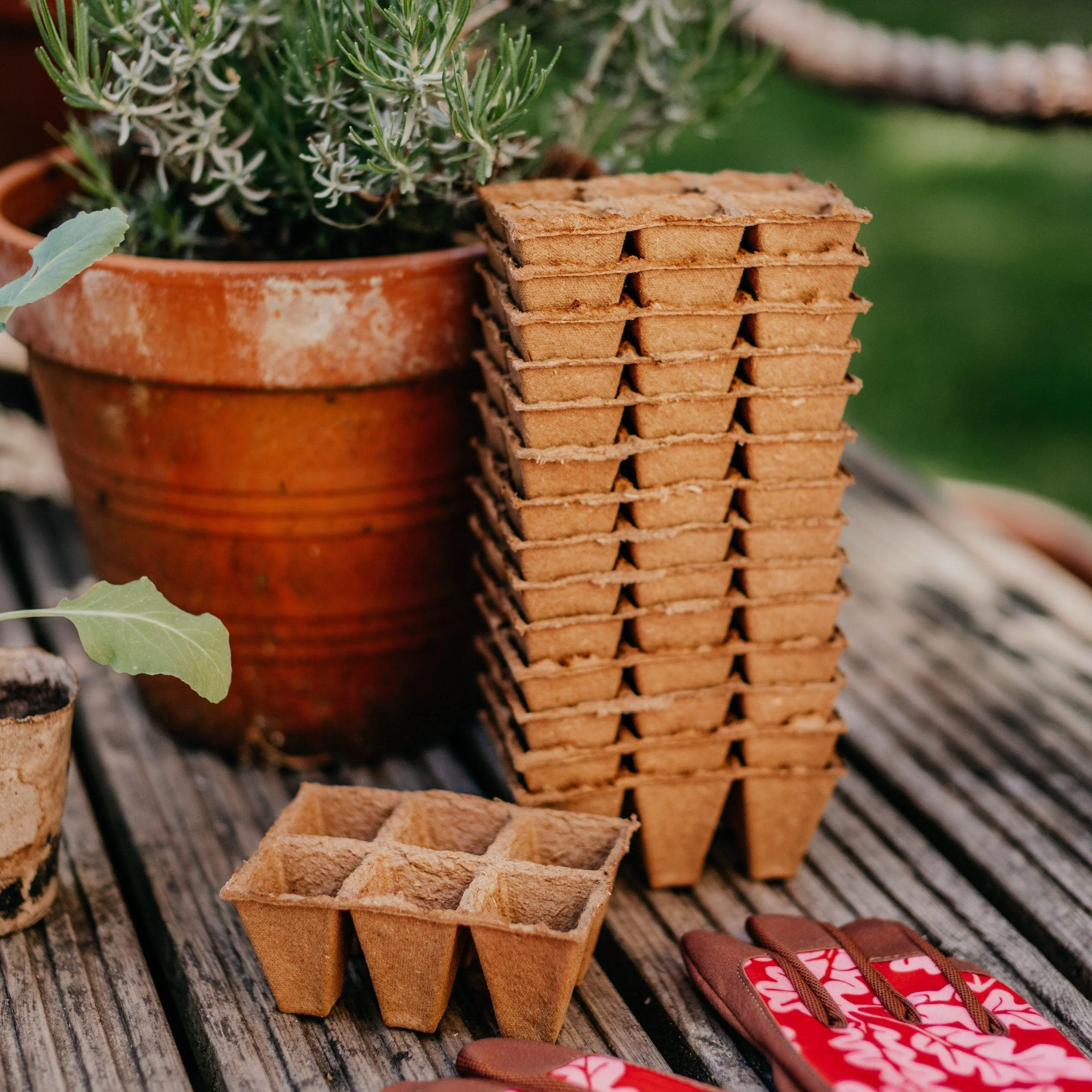 Agricultural seed starting tray gardening farming seeds sprouting trays bio coconut husk fiber seedling nursery plant planter