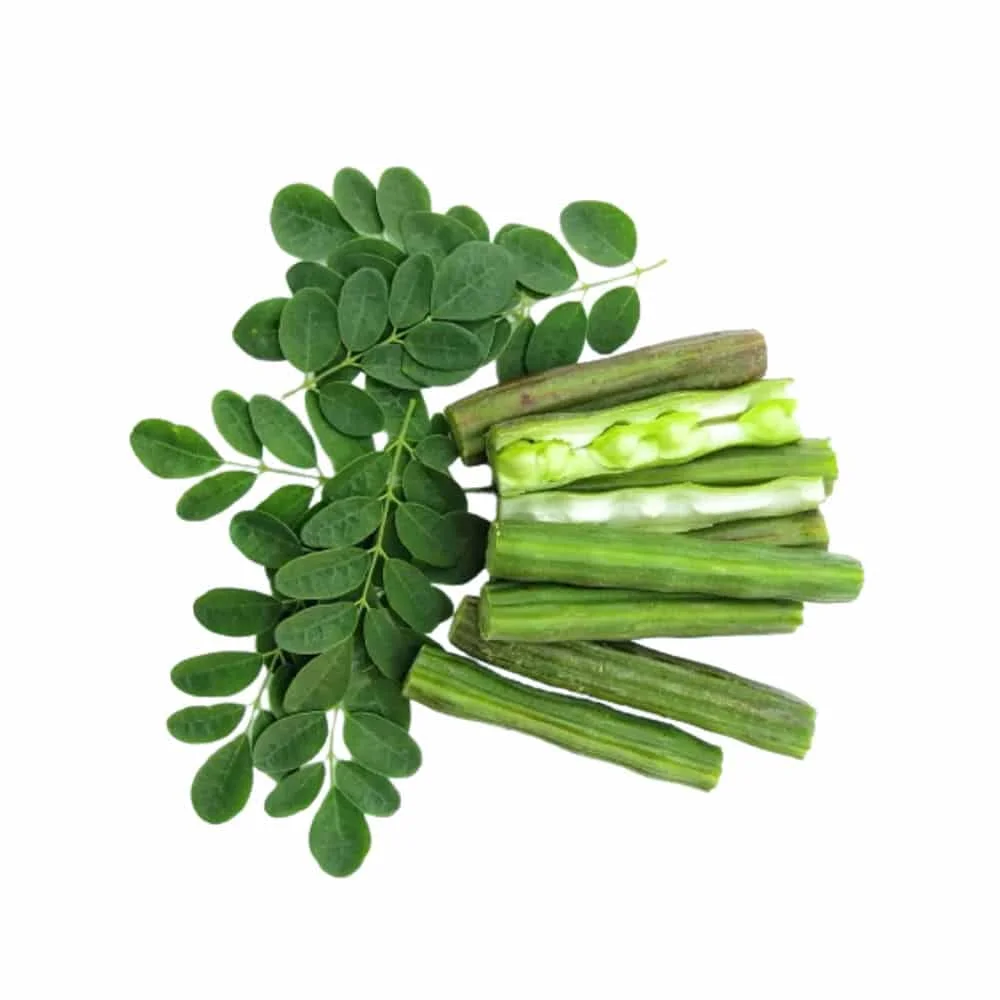 Superfood Moringa Herbal Extract Powder Wild Cultivation Solvent Extracted Packed in Plastic Container or Drum