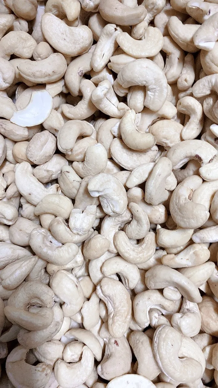 Cheapest Fado iExport Manufacturer Raw Cashew WS From Vietnam Wholesales Factory Price