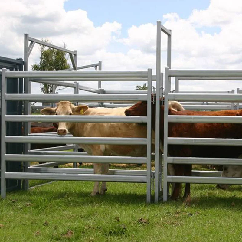 6ft 12ft Galvanized Metal steel corral panels Cattle Panels horse fence Panels Sheep gate