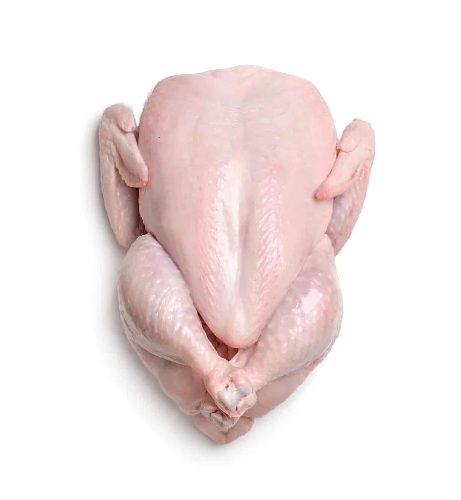Best Quality Healthy and Natural Whole Chicken Halal Frozen From Turkey Poultry Meat with Customize Pack