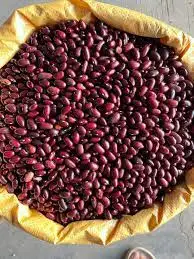 Red kidney Beans | Where to buy Red kidney beans in large quantity online