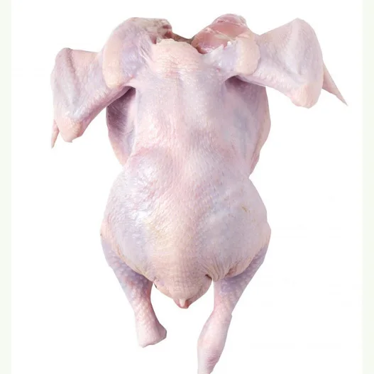 High Quality HALAL Frozen Whole Chicken Wholesale Frozen Chicken Breast BEST QUALITY for SALE at LOW PRICE