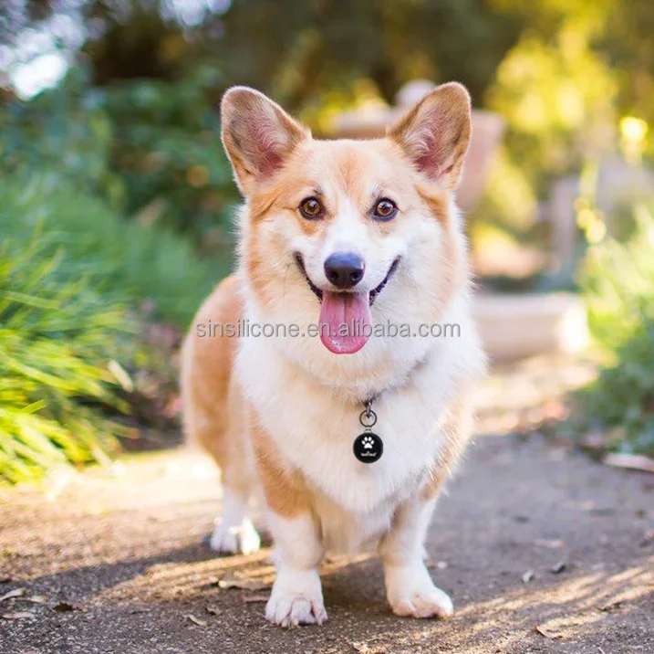 Dog Tags Stainless Steel Pet Tags Personalized Double-Sided Engraved Dog and Cat Tags Custom Pet Name