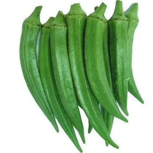 Philippines High Grade Agriculture Product Natural And Best Quality Vegetable Okra for sale at wholesale prices.