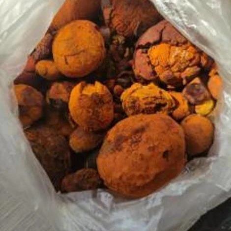 Quality Dried Cow Ox Gallstones/ Gallstones Cattle Ox Cow Gallstones