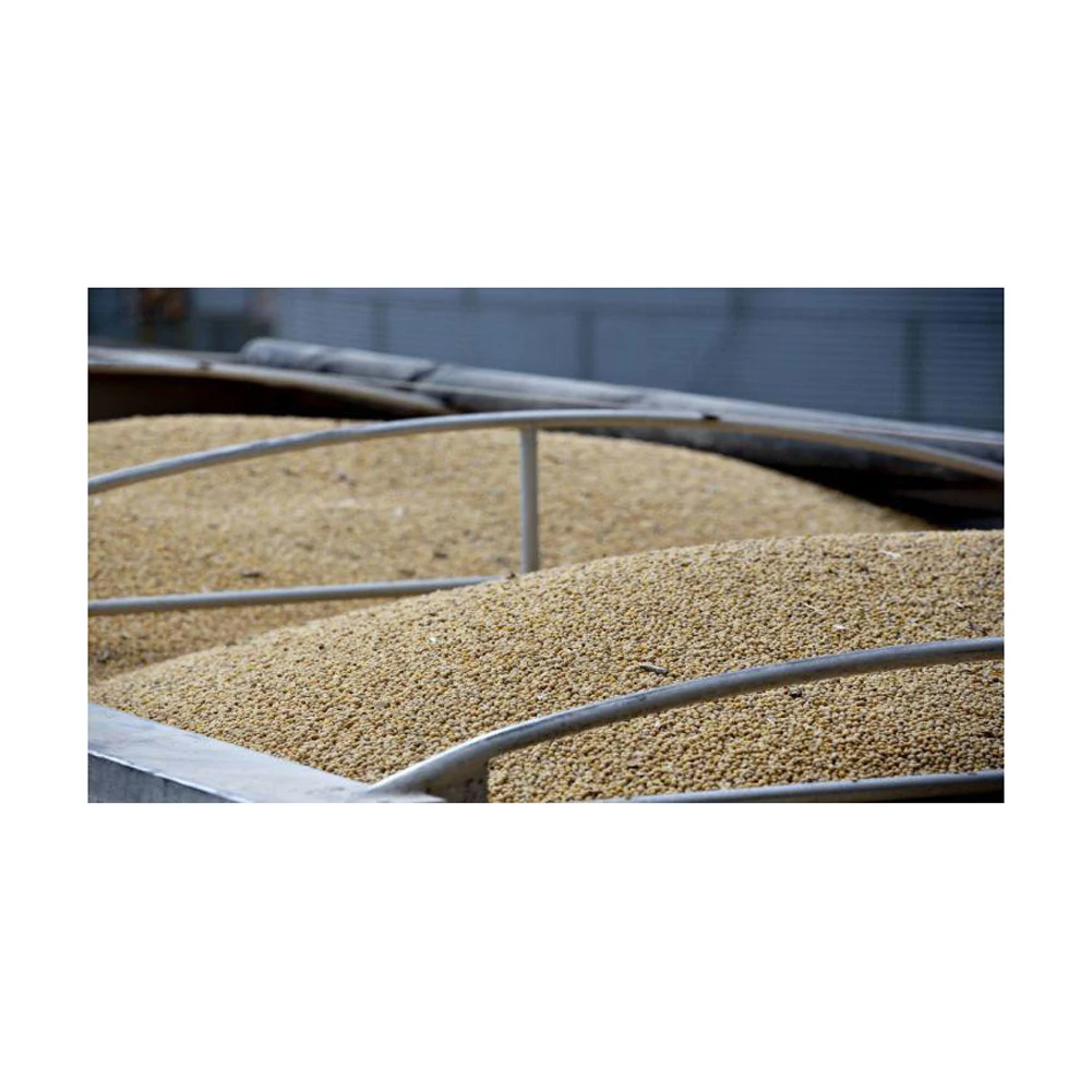 Soya Beans Soy Bean Crop Chinese High Protein Yellow Soybean Soya Beans GMO/NON GMO