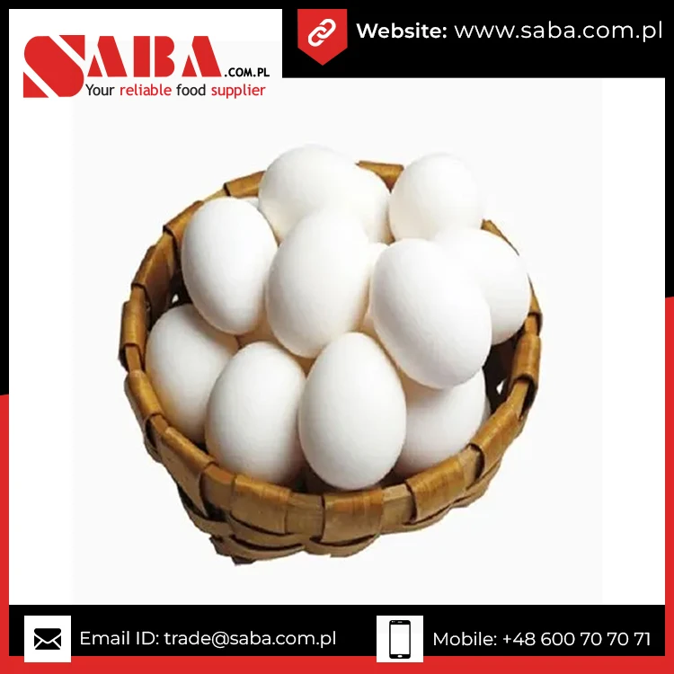 Свежие куриные яйца на ферме, белые куриные яйца в Ракушке, оптовая продажа, 100% органические белые яйца, Прямая поставка с завода, белые