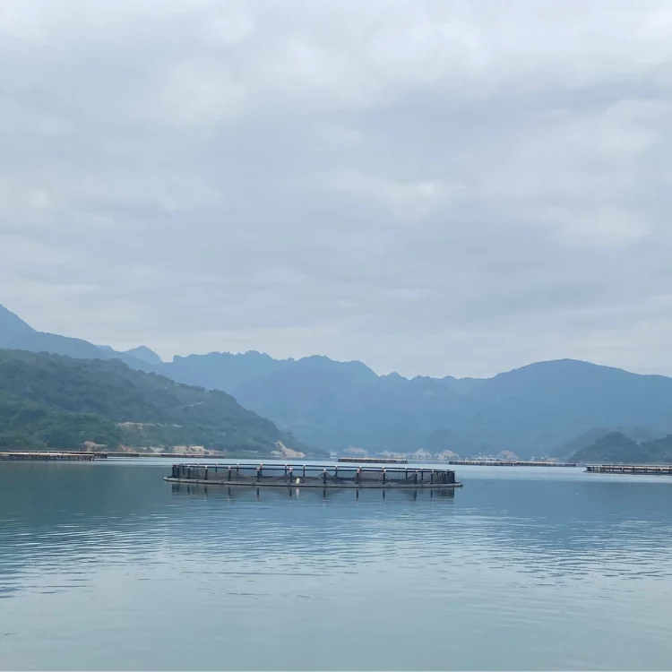 Hdpe Fish Cage Cheap Price Durable Aquatic Research Center Floating Round Cage Custom Designs Vietnam Manufacturer