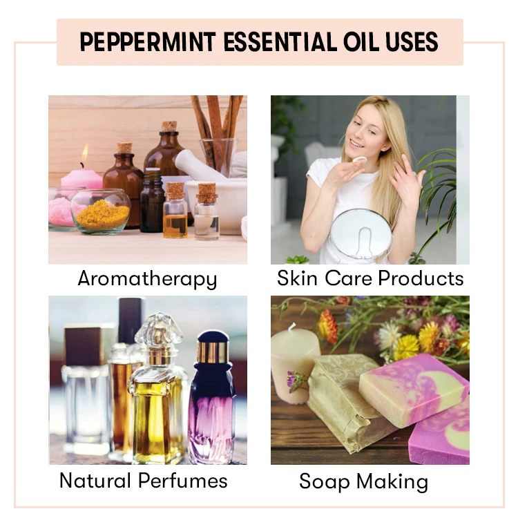 Peppermint Essential Oil | All-Natural And Pure  Peppermint Oil For Skin And Hair At Bulk Price | Skin Soothing Peppermint Oil