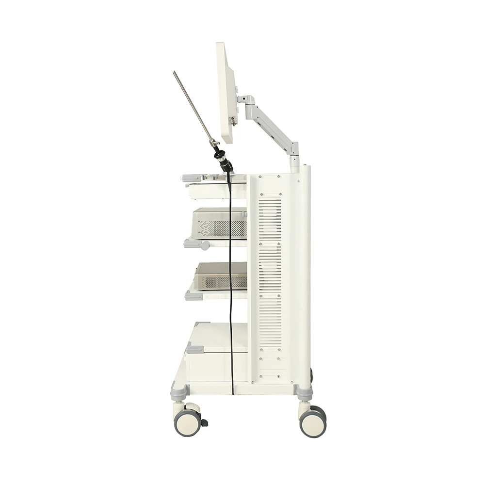 Горячая распродажа жесткий эндоскоп ветеринарная система камеры full HD MSLSOP02