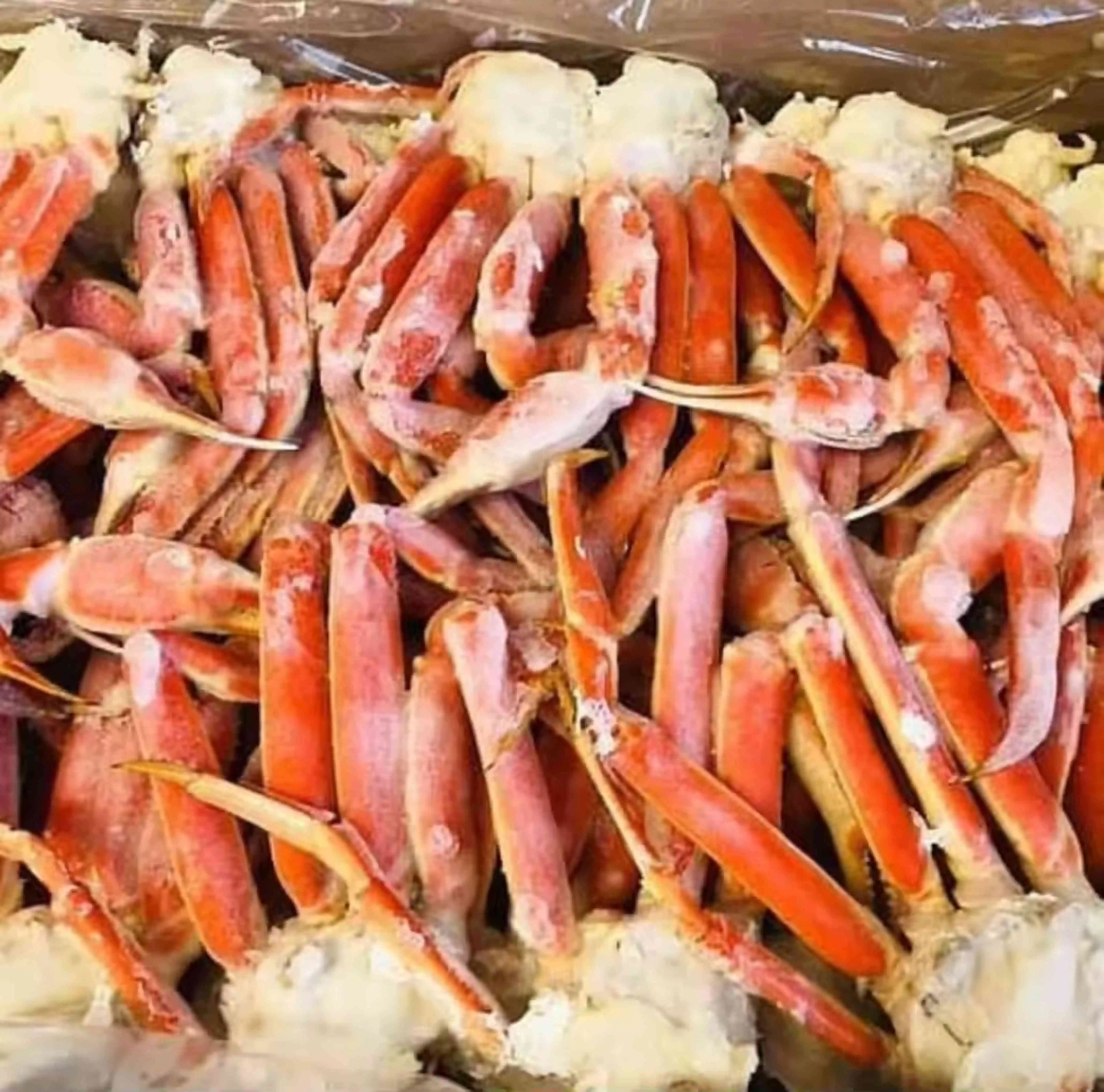 Premium Grade Crab Leg Seafood King Frozen Crab Claw Leg Wholesale Good Quality Seafood