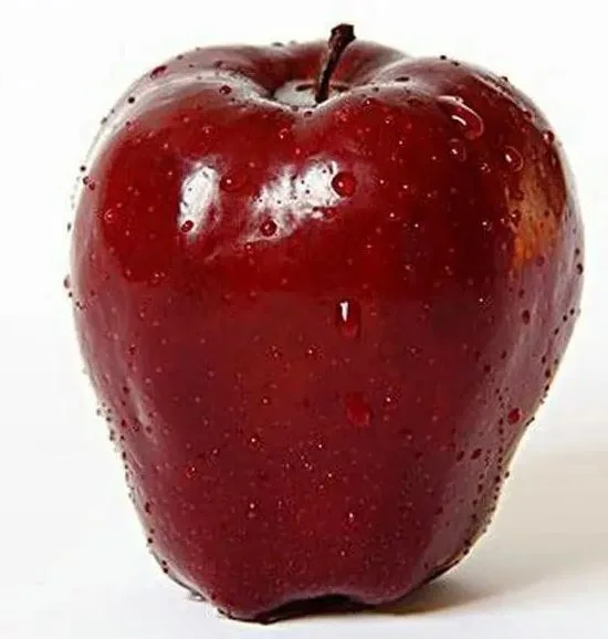 New Harvest red delicious apple top quality directly from farm