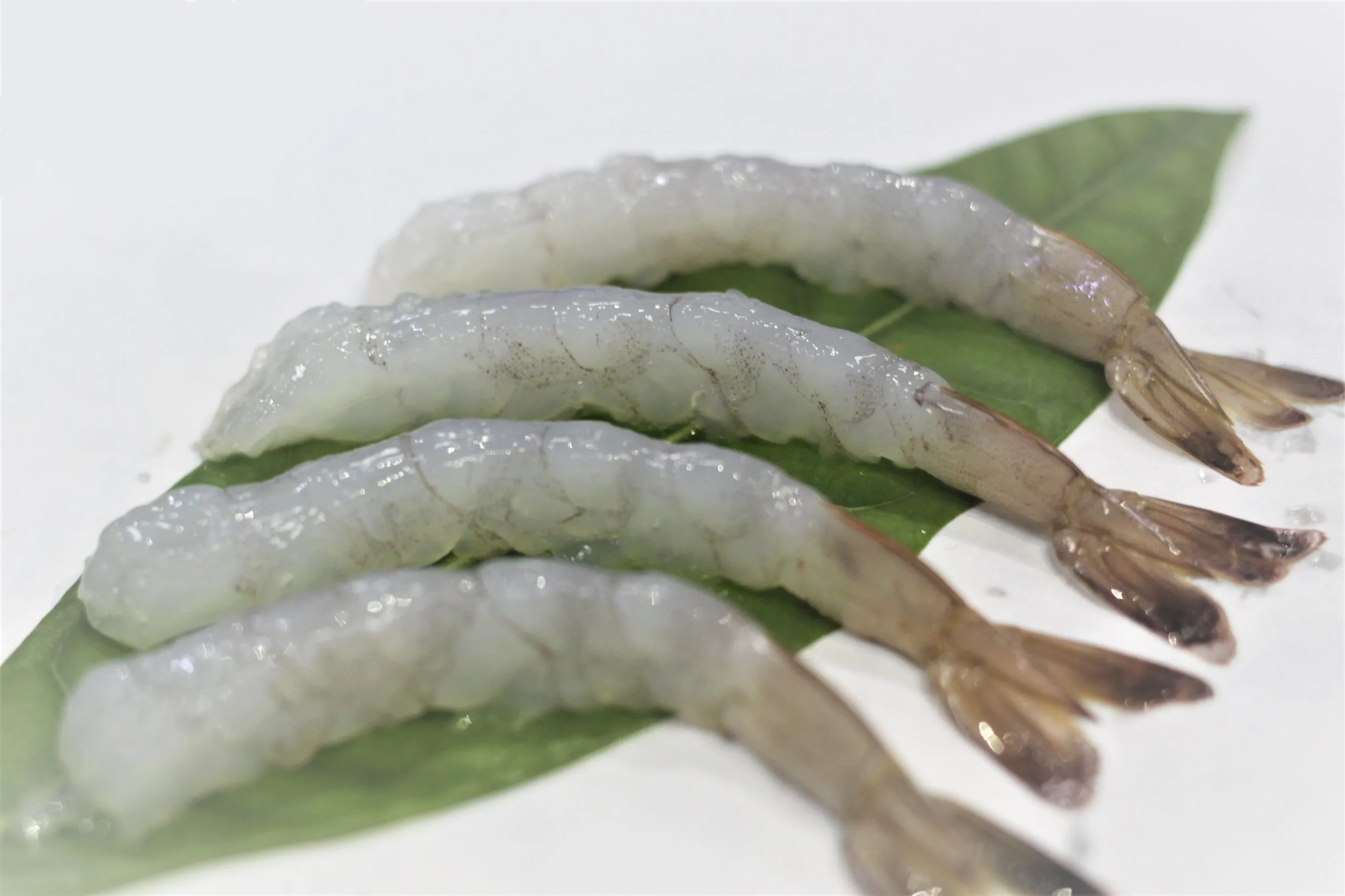 Vannamei Shrimp NOBASHI IQF Frozen Shrimp in Tray Packaging 100% Fresh Delicious Made From Vietnam Sea