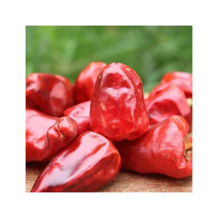 Wholesale Dealer Of Cheapest Price Red Dried Chili Pepper