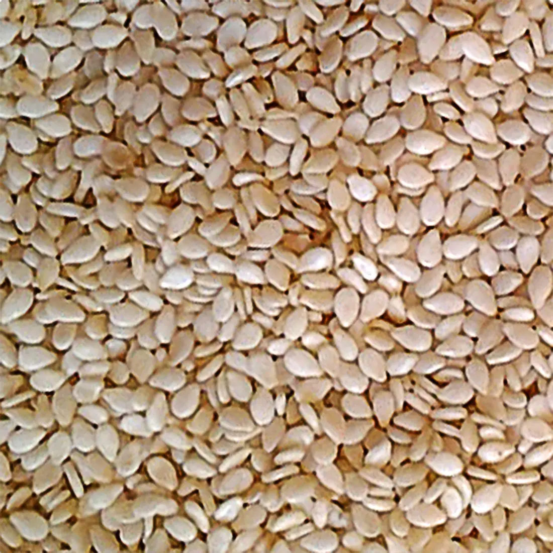 Quality hulled Sesame Seeds 100% Natural White hulled Sesame seeds