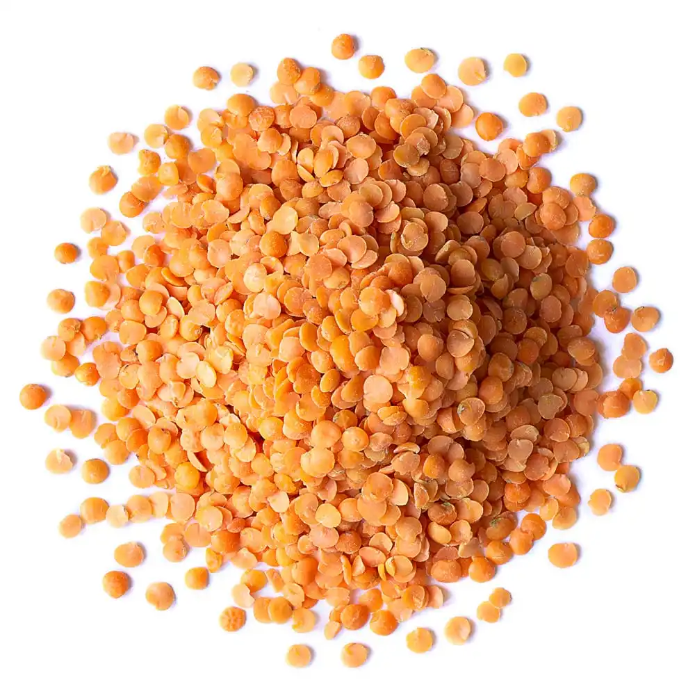 High Quality Crimson Lentilles / Green Lentils Price / Red Lentils