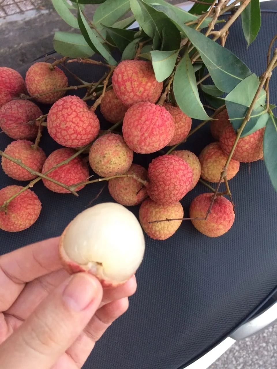 IQF FROZEN LICHI LYCHEE FRUIT PEELED