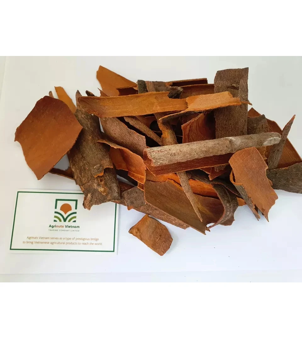 Product With Best Price Wholesale High Quality From Manufacture Cassia Broken with skin Origin Vietnam