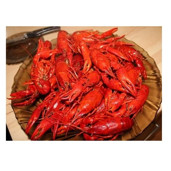 Fresh cheapest Live Canadian Lobsters / Frozen Lobster Tails