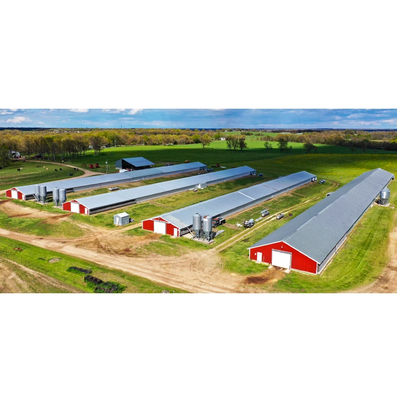 Куриные копсы по низкой цене куриные домики птицефермы в